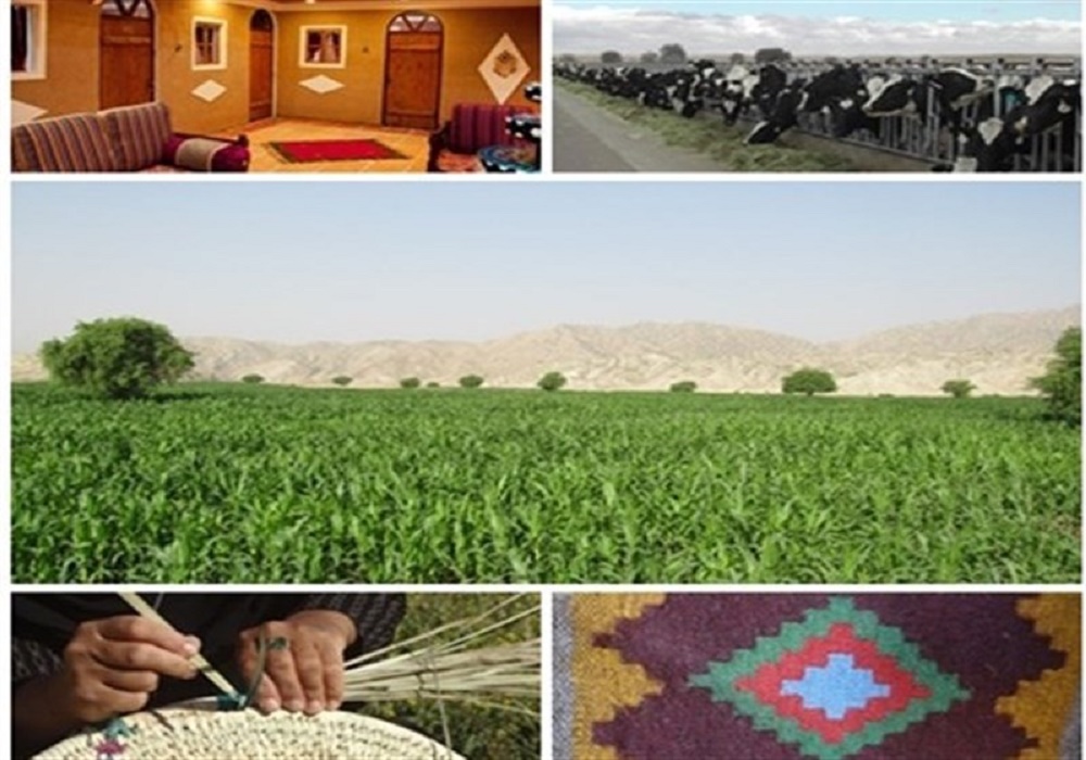 چرا نظام تولیدی در روستاهای ایران از نفس افتاد