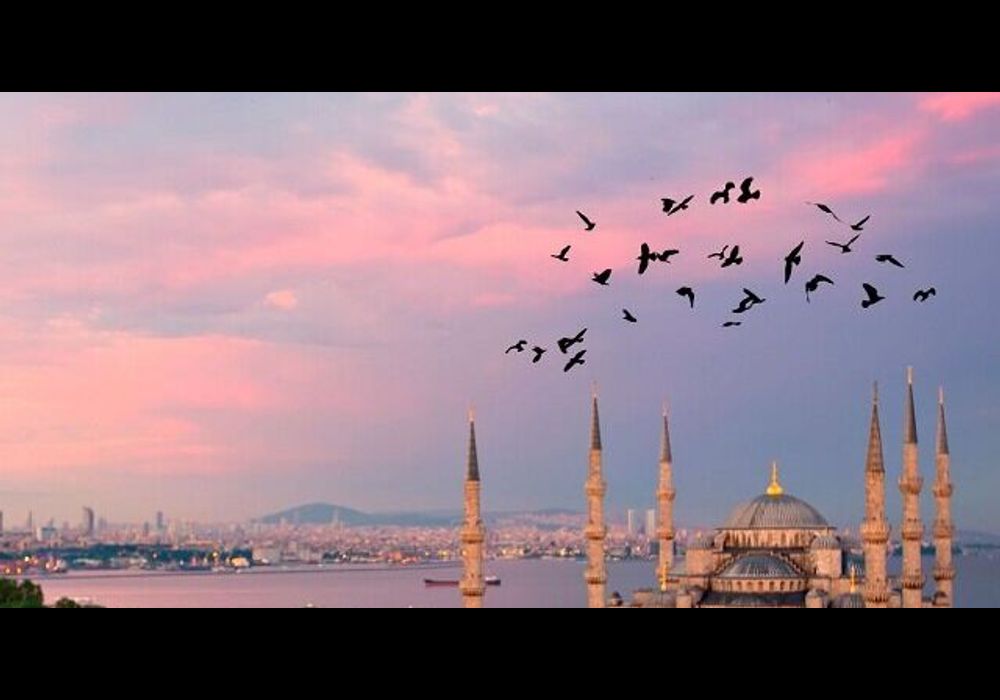 برند فیات پرفروش در ترکیه