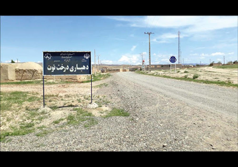 درخت توت صالح آباد