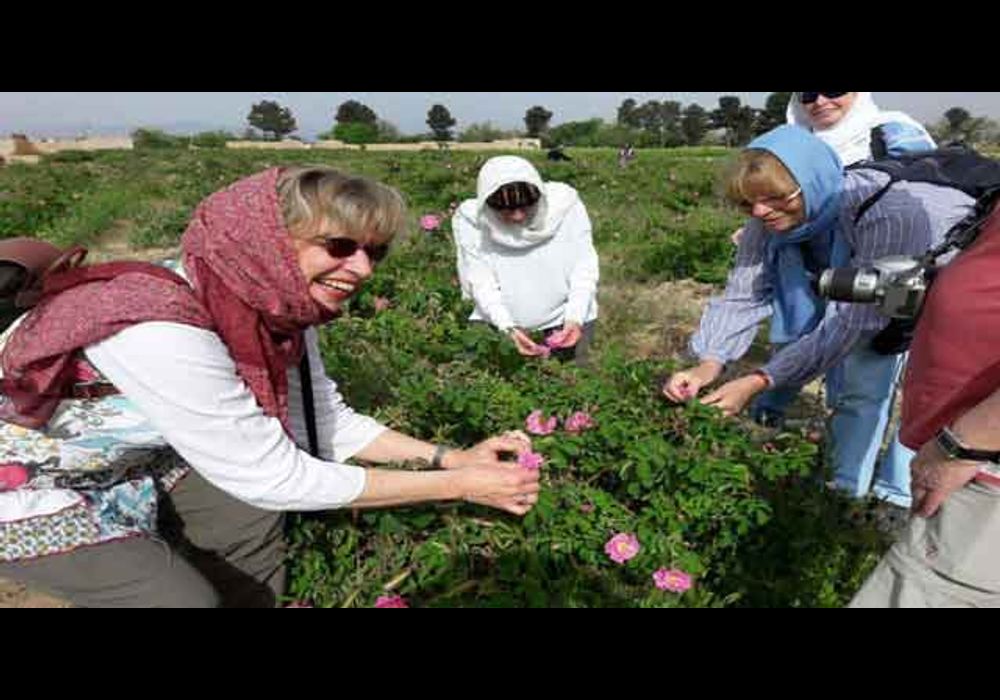اردبیل برند گردشگری