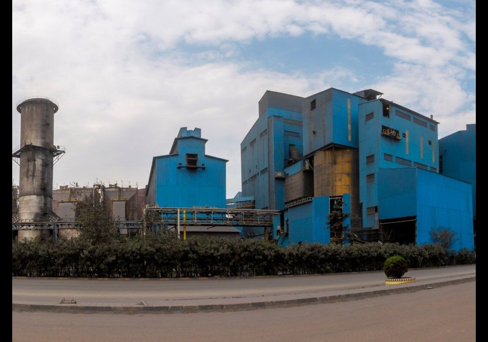 افزایش تولیدات گل گهر