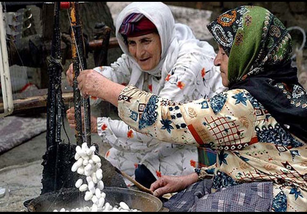 نوغان داری هنر فراموش شده