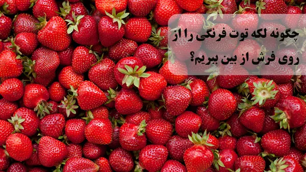 از بین بردن لکه توت فرنگی