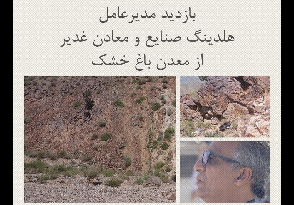 بازدید مدیر عامل هلدینگ غدیر