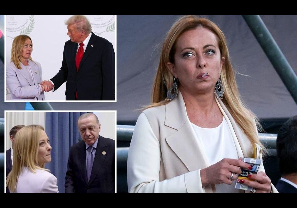 جورجیا ملونی جورجیا ملونی