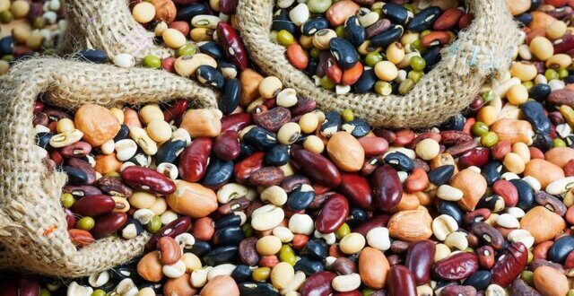 حبوبات لرستان ظرفیت برند ملی