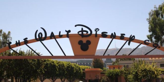 سود واقعی سیری در پارک ها