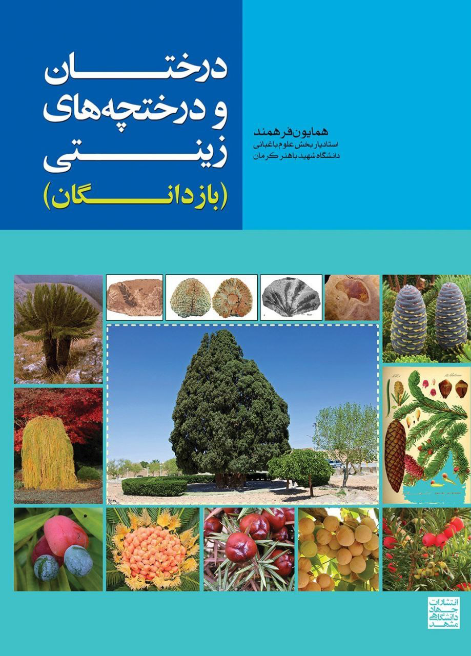 درختان و درختچه ها
