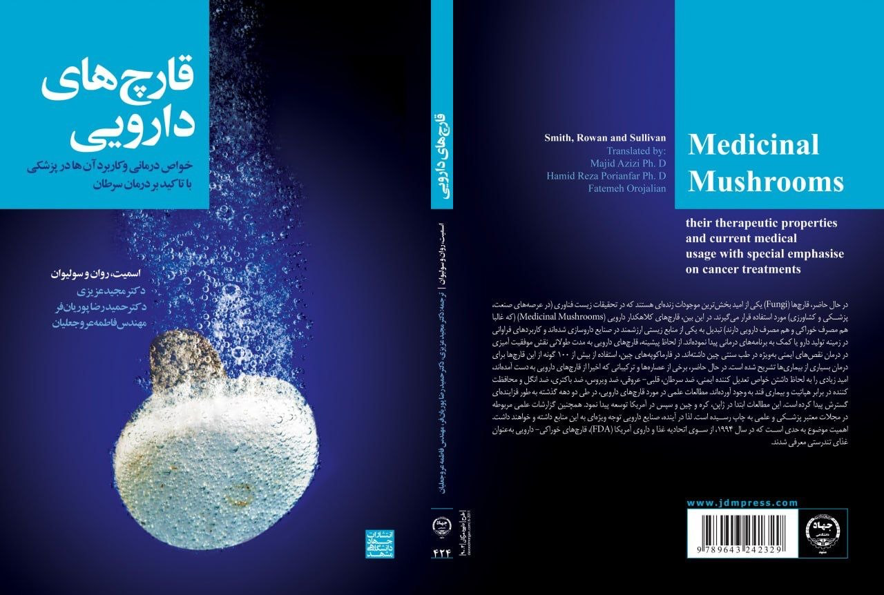 قارچ های دارویی